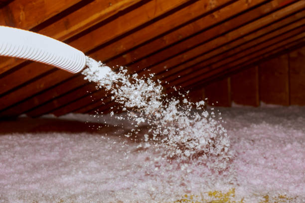 Best Insulation Contractor Near Me  in Wharton, TX