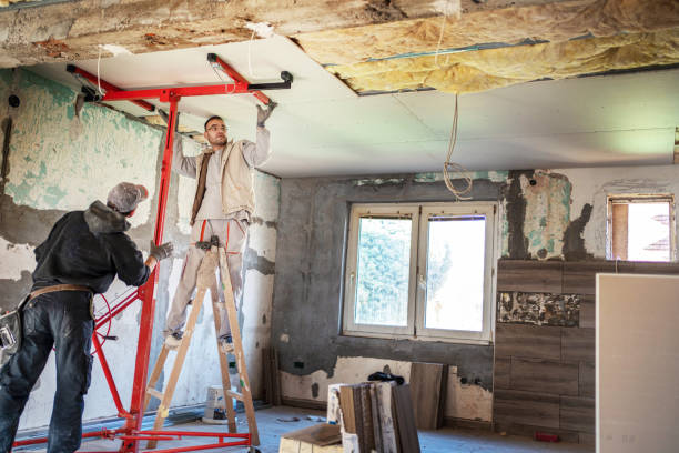 Best Insulation Removal  in Wharton, TX