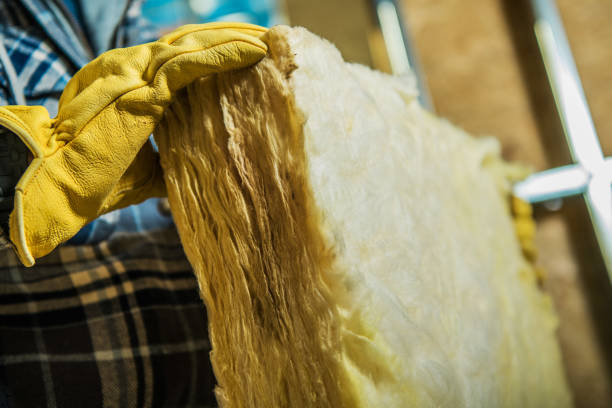 Best Soundproof Insulation Installation  in Wharton, TX